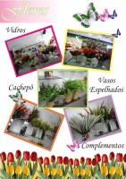 /album/galeria-de-fotos/catalogo%20sess%c3%a3o%20de%20flores%203-jpg/